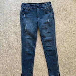 Wit and Wisdom Women's Jegging/jeans